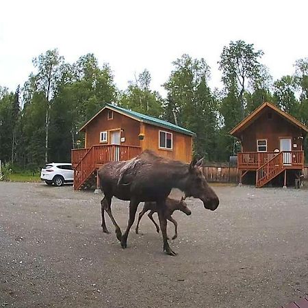 Talkeetna Love-Lee Cabins Hotell Eksteriør bilde
