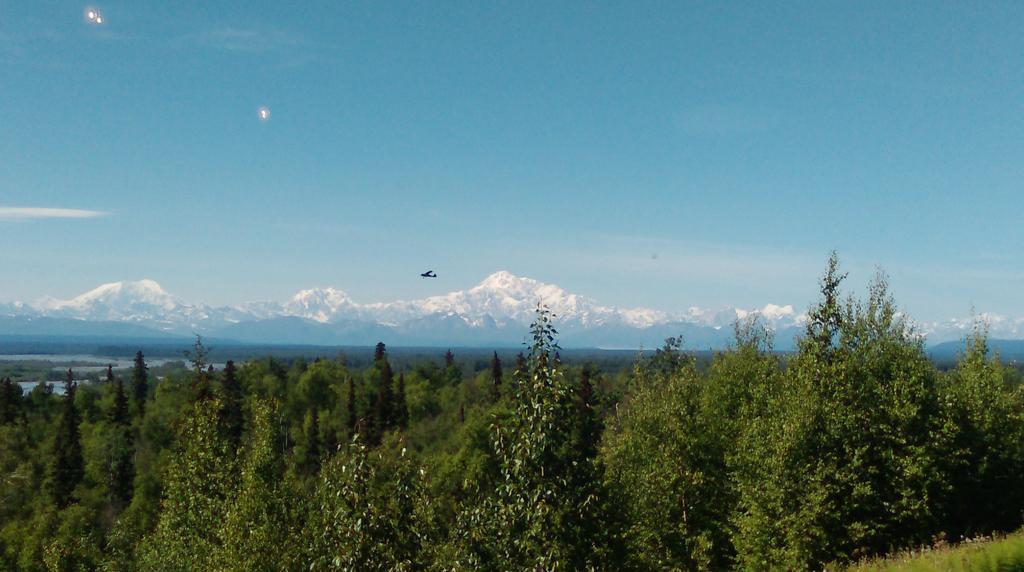 Talkeetna Love-Lee Cabins Hotell Eksteriør bilde