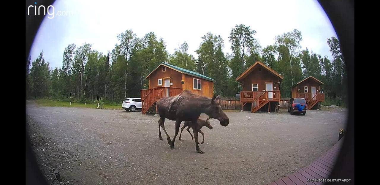 Talkeetna Love-Lee Cabins Hotell Eksteriør bilde